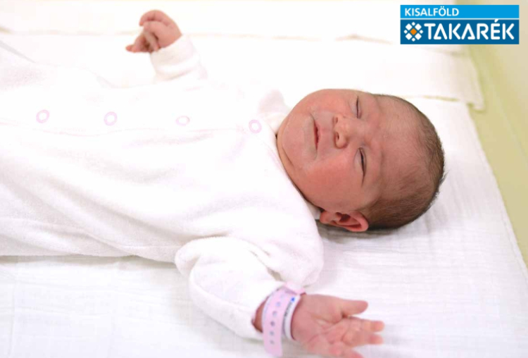 Vida Magdolna Viktória, Mecsér