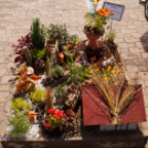 Apró Kezek, Csodakertek