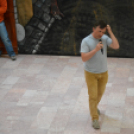 Nyárcsalogató (Fotó: Nagy Mária)