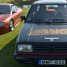 Márkafüggetlen Autós Találkozó Mosonmagyaróvár-Halászi (fotó: Horváth Attila)