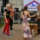 XII. Szigetköz ízei, Vármegye borai Fesztivál 3. nap