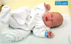 Leitner Balázs, Jánossomorja