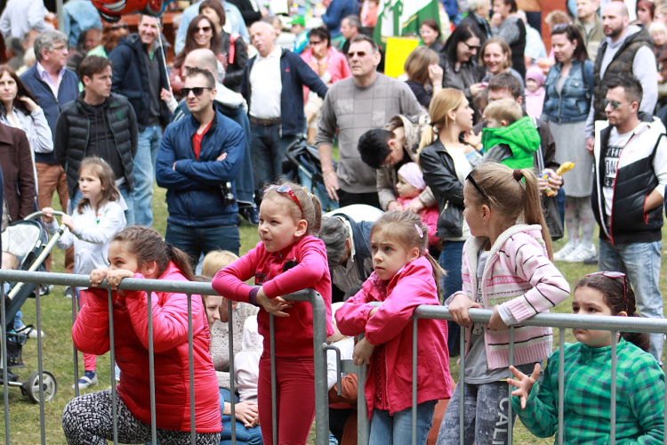  Városi Majális 2017 