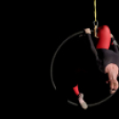 Mosonmagyaróvári Kossuth Lajos Gimnázium: 