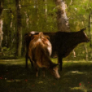 Munkácsy Kiállítás - Scháling Anita fotói