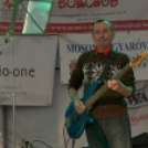 Szigetköz ízei, Vármegye borai Fesztivál (vasárnap) (Fotó: Horváth Attila)