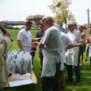 Nyárbúcsúztató Fesztivál (Fotó: Nagy Mária)