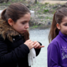 Kőrisfacsemetéket ültettek a diákok a Nolato Magyarország Kft telephelyén