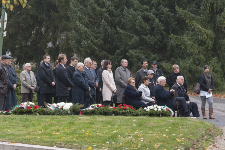 1956-os városi Megemlékezések és Gyásznap /Mosonmagyaróvár/