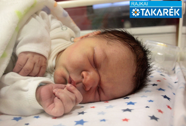 Simon-Kovács Ábel, Mosonmagyaróvár