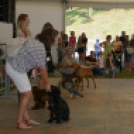 XII. Szigetköz ízei, Vármegye borai Fesztivál 3. nap