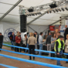 VII. Szigetköz ízei, Vármegye borai fesztivál péntek 1. (Fotó: Nagy Mária)