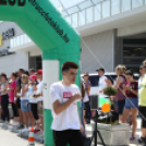 XV. Greiner Szigetköz Félmaraton