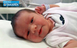 Tuba Petra, Mosonmagyaróvár