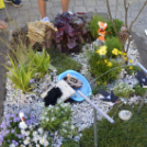 VII. Apró kezek, csodakertek Gyermek Kertépítő verseny