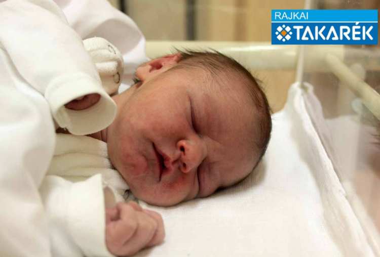 Vulcz Bence, Lébény