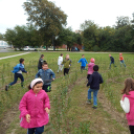 Labirintus és kilátó avatás Mosonmagyaróváron