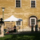 IX. Szigetköz ízei, Vármegyék borai Fesztivál (fotó: Stipkovits Veronika)