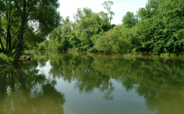 Elárasztják a hullámteret