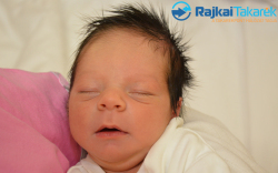 Tóth Péter, 2790 gr. Rajka