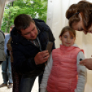 Első Engler Családi Nap (Fotó: Horváth Attila)