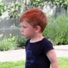 Az Ebuló Kutyaiskola interaktív kutyás bemutatója a Pillangó óvodában (Fotó: Stipkovits Veronika)