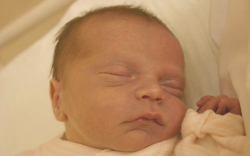 Kovács Alíz, Szárföld