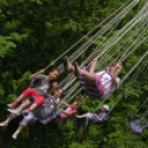 Majális a Wittmann Antal parkban / délelött /  