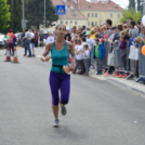 XIV. Greiner Szigetköz Félmaraton