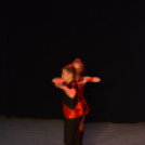 Jótékonysági műsor a Családok Átmeneti Otthona javára (Fotó: Nagy Mária)