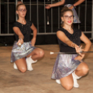 Szigetköz ízei, Vármegye borai Fesztivál - 1 nap