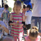 VII. Apró kezek, csodakertek Gyermek Kertépítő verseny