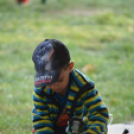 Szigetköz ízei, vármegye borai fesztivál - péntek (Fotó: Nagy Mária)