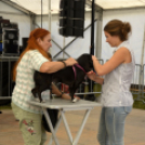 XII. Szigetköz ízei, Vármegye borai Fesztivál 3. nap