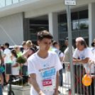 XV. Greiner Szigetköz Félmaraton