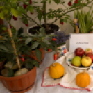 Termény- és virágkiállítás 