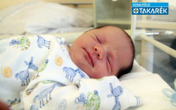 Feiler Balázs András, Mosonmagyaróvár