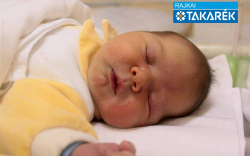 Szelle Tamás, Dunakiliti