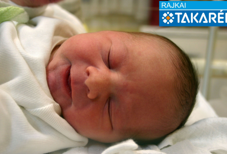 Slezák Bence Botond, Töltéstava