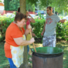 IV. Karolina Day (Fotó: Nagy Mária)