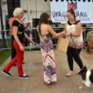 XII. Szigetköz ízei, Vármegye borai Fesztivál 3. nap