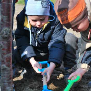 Faültetés óvodásokkal (Fotó: Nagy Mária)