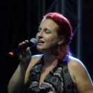 Tiszta Amerika - Vár-tó party