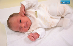 Pethő Petra, Jánossomorja