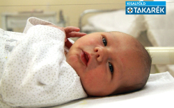 Szeidl Dominik, Mosonmagyaróvár