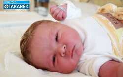 Gősi Márk, Tárnokréti