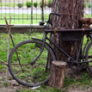 Moson Modell Show (Fotó: Stipkovits Veronika, Bánhegyi István)