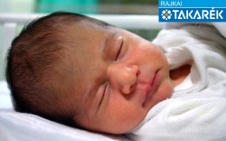 Liszkai Dorina, Mosonmagyaróvár