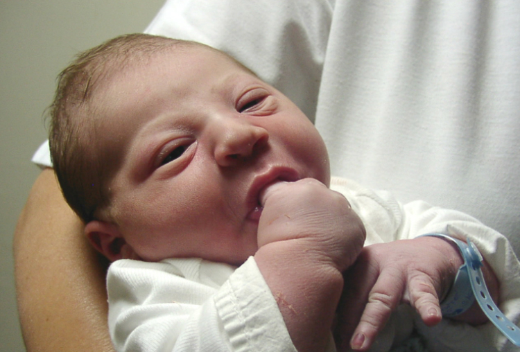 Fettik Máté-3900-Móvár