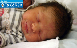 Lukács Petra Lia, Mosonmagyaróvár